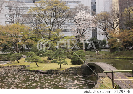 Spring Koishikawa Korakuen Spring Koishikawa Korakuen 2129706