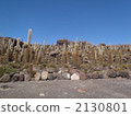 cacti, latin america, saline lake 2130801