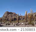 cacti, latin america, saline lake 2130803