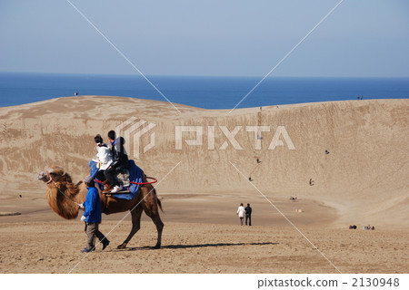 Camels and couples Camels and couples 2130948