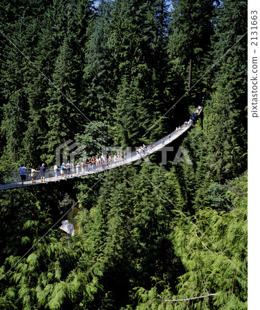 卡皮亞諾吊橋 2131663