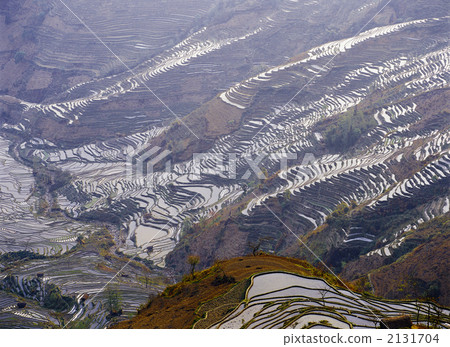 Yuanyang's rice terrace 2131704
