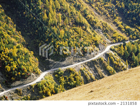Four girls' mountain fall 2131858