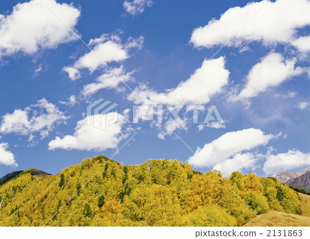 Four girls' mountain fall 2131863