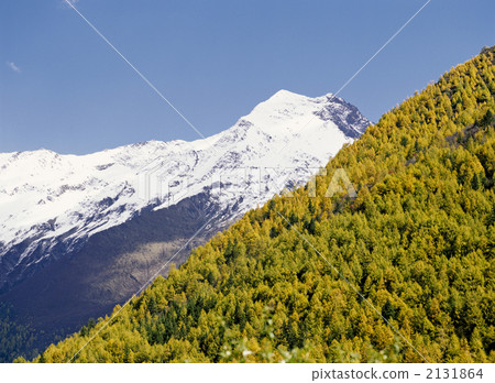 Four girls' mountain fall 2131864