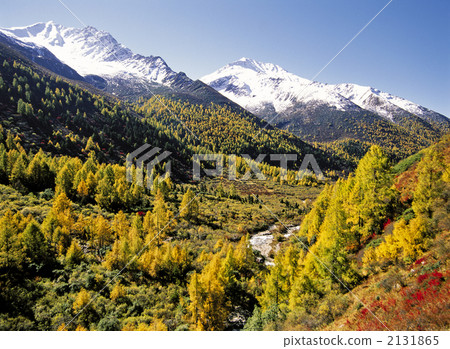 Four girls' mountain fall 2131865