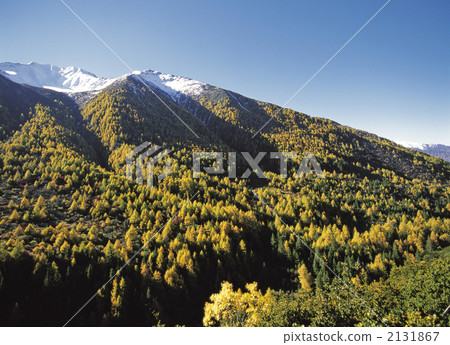 Four girls' mountain fall 2131867