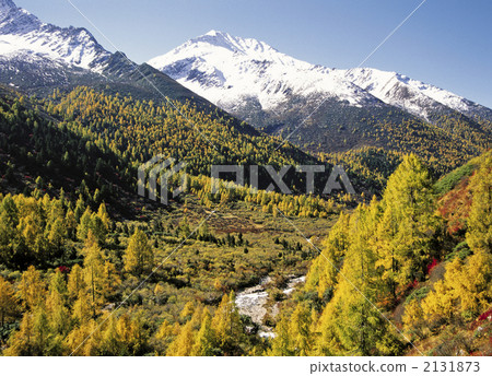 Four girls' mountain fall 2131873
