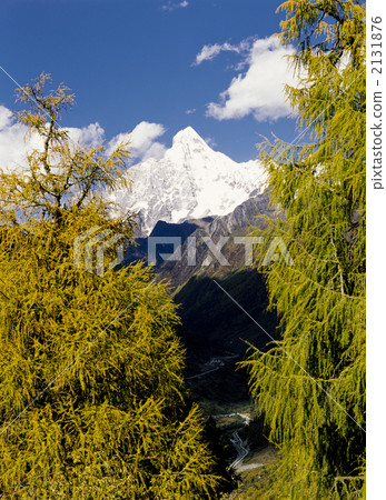 Four girls' mountain fall 2131876