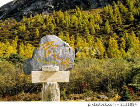 Four girls' mountain fall 2131884