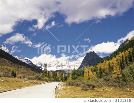 Four girls' mountain fall 2131886