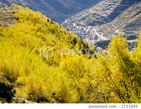 Four girls' mountain fall Four girls' mountain fall 2131895
