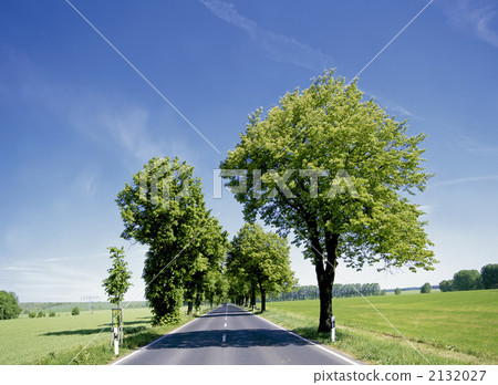 Aziz-cho路在哈茨山區 2132027