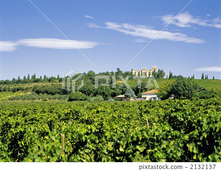 Chateau Neuf Du Pape Chateau Neuf Du Pape 2132137
