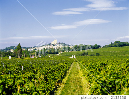 Chateau Neuf Du Pape Chateau Neuf Du Pape 2132138