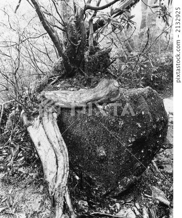 Muffler stone of Yakushima 2132925