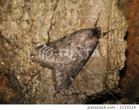 Kurobane Huyushaku Kurobane Huyushaku 2133524