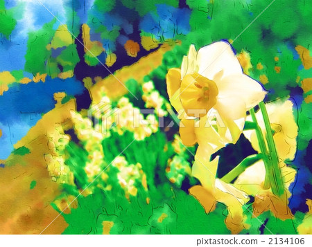 Daffodil of New Shinonakawa River Water Park 2134106