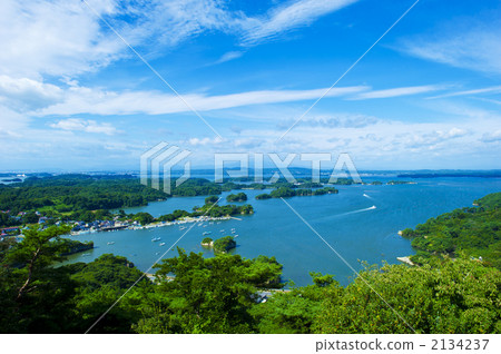 View from Otakako Forest Observation Deck 1 2134237