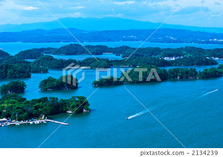 從Otakako森林觀景台3看 2134239