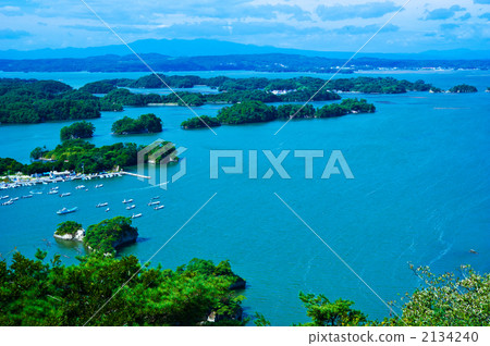 從Otakako森林觀景台4看 2134240