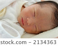Newborn baby ♪ 2134363