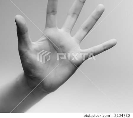 A close-up of an open palm and fingers in monochrome. A close-up of an open palm and fingers in monochrome. 2134780