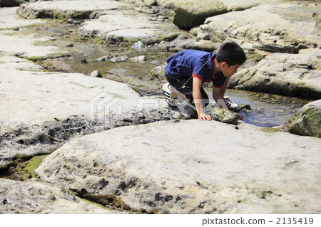 我玩 我玩 2135419