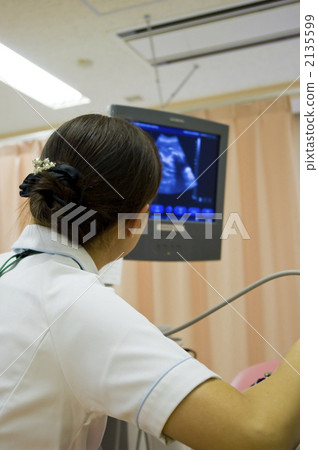 Midwife Midwife 2135599