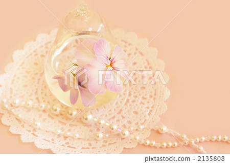 Easy shades of viola 2135808