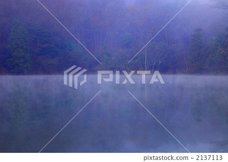lakeside, morning haze, lake 2137113