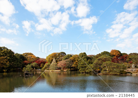 Autumn leaves and blue sky in the garden 2138445