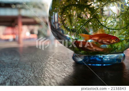 魚缸 魚缸 2138843