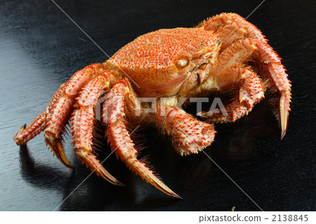 發到 發到 2138845