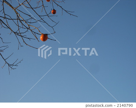 persimmon, persimmon fruit, japanese persimmon 2140790