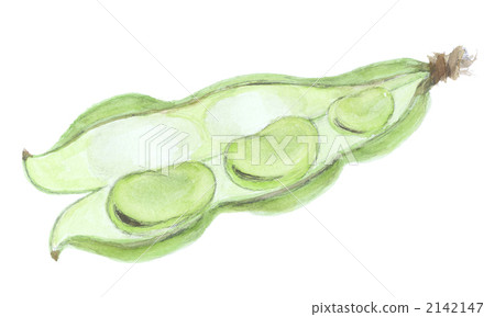 Broad beans 2142147