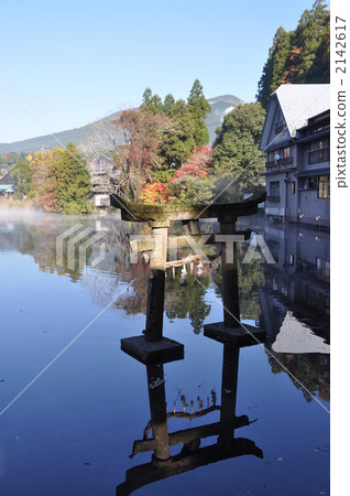 Kin Lake Lake Tenso Shrine Torii Torii 2142617