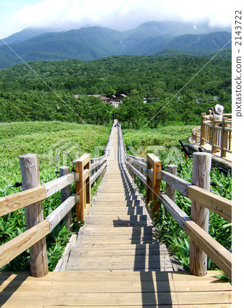 高架木路徑 木板地 木地板 2143722