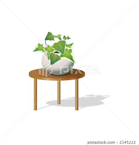 觀賞植物常春藤的例證 觀賞植物常春藤的例證 2145222