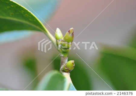 溫暖的冬天 2146376