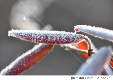 冬季水晶 2146378