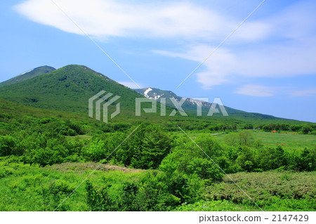 Early summer Hakkoda Commonwealth Early summer Hakkoda Commonwealth 2147429