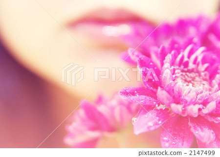 鮮花和嘴唇 2147499