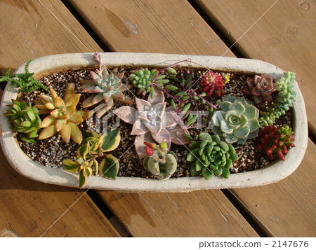 Planting a little 2147676