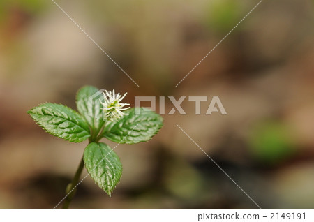 一個人靜靜地在一棵雜樹...... ~Hitoshizuka~ 一個人靜靜地在一棵雜樹...... ~Hitoshizuka~ 2149191