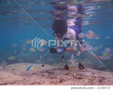 Snorkeling Snorkeling 2149717