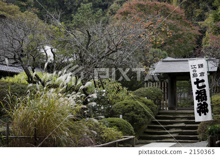 淨妙寺 石階 花園樹 2150365
