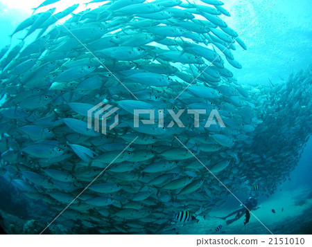 按摩群組 2151010