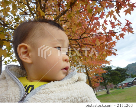 baby, infant, side view 2151263