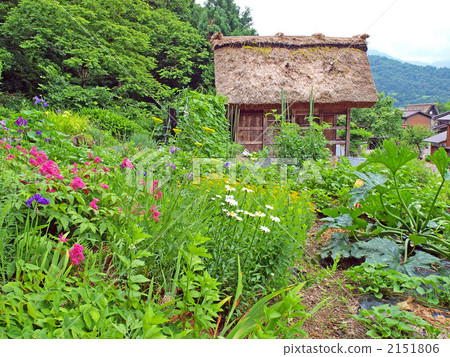 having a steep thatched rafter roof, house with a steep rafter roof, thatched roof 2151806